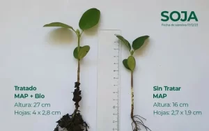 ensayos de arrancadores